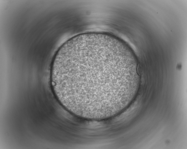 X0000103171459200809192105