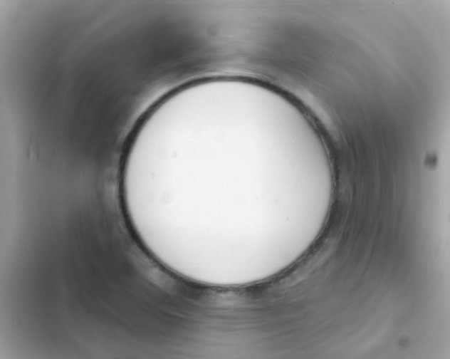 X0000103171460200809192105