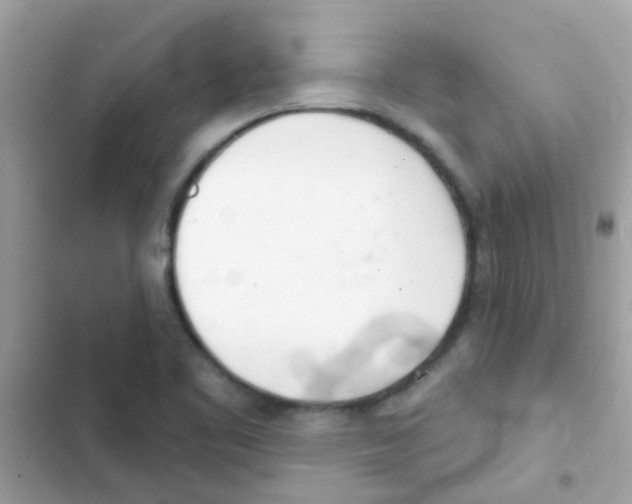 X0000103171461200809192105