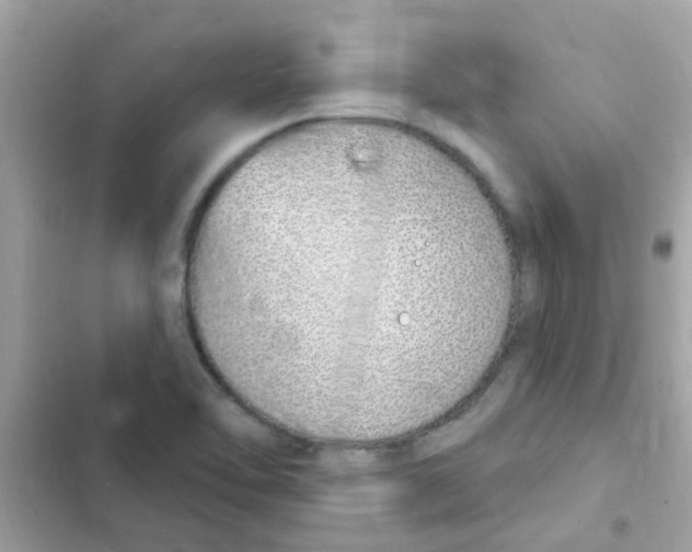 X0000103171462200809192105