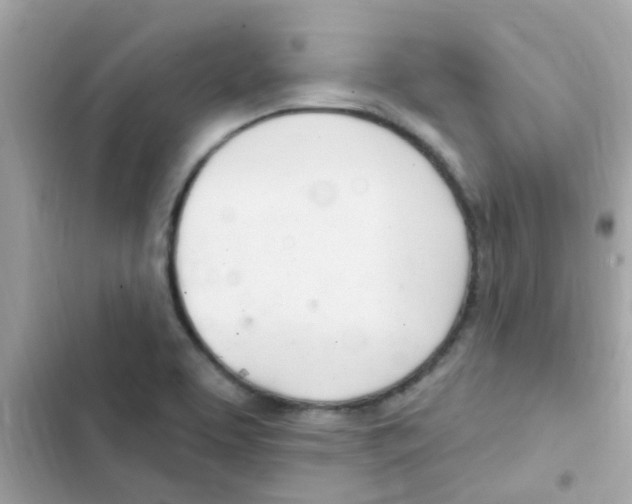 X0000103171463200809192105