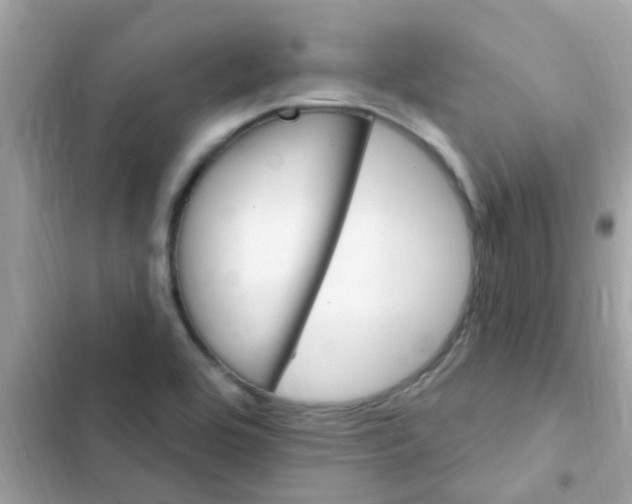 X0000103171464200809192105