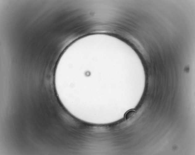 X0000103171465200809192105