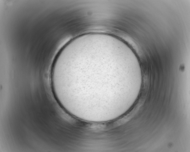 X0000103171466200809192105