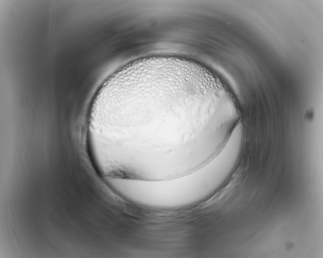 X0000103171467200809192105