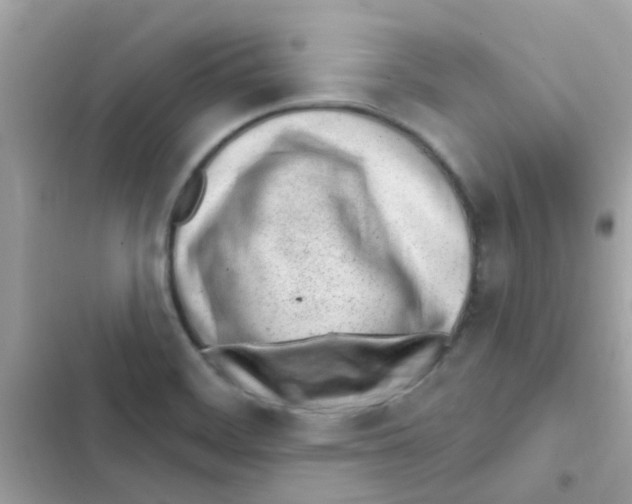 X0000103171468200809192105