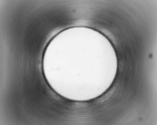 X0000103171469200809192105