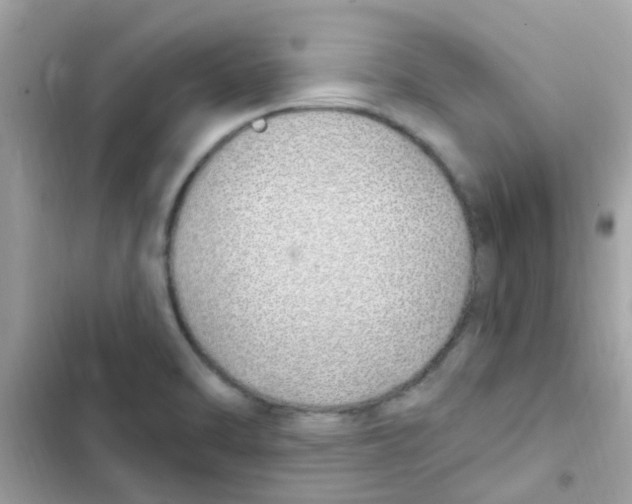 X0000103171470200809192105