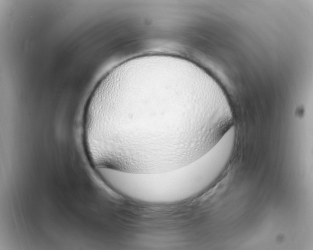 X0000103171471200809192105