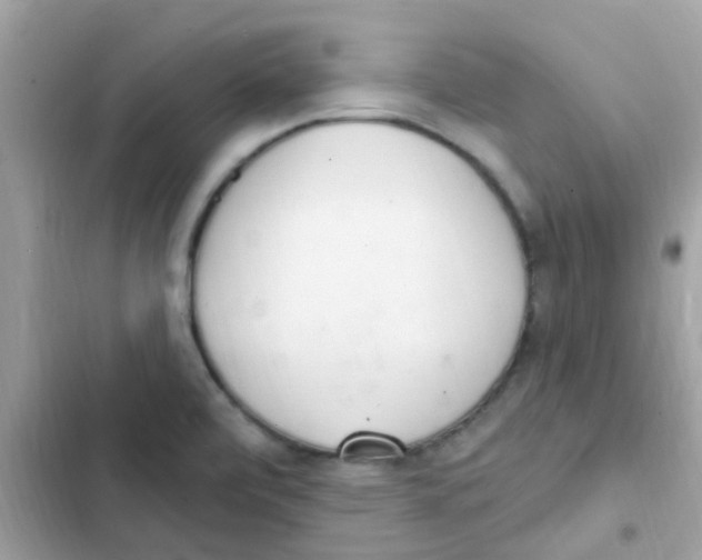 X0000103171472200809192105