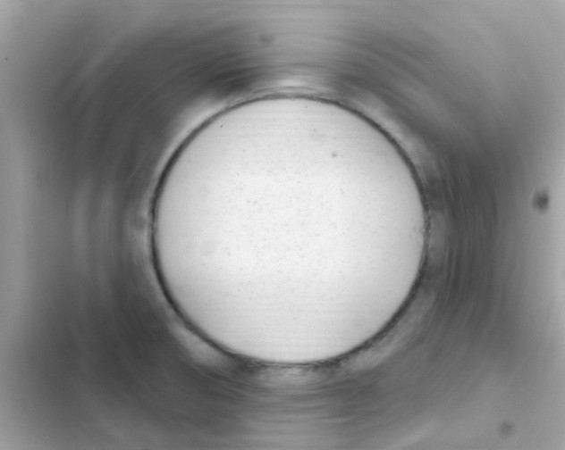 X0000103171474200809192105