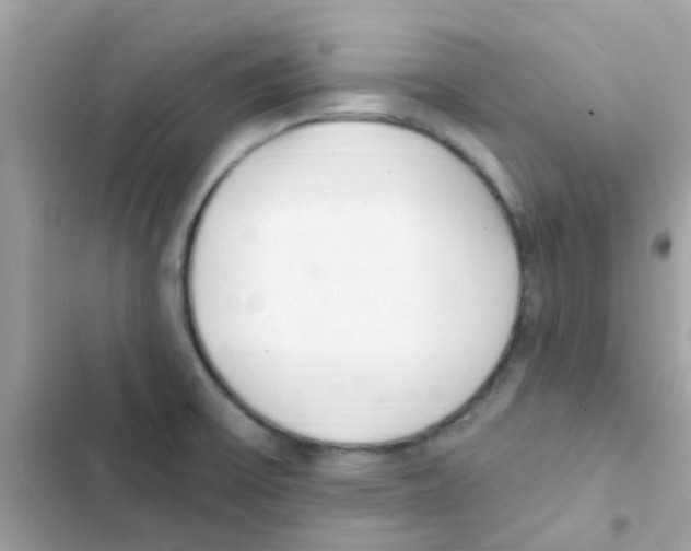 X0000103171475200809192105