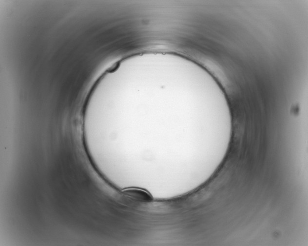 X0000103171476200809192105