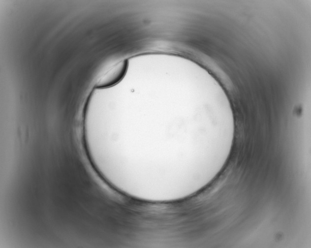 X0000103171479200809192105