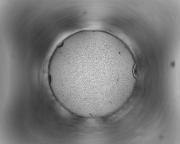 X0000103171480200809192105