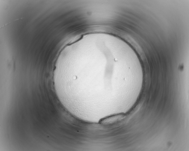 X0000103171481200809192105