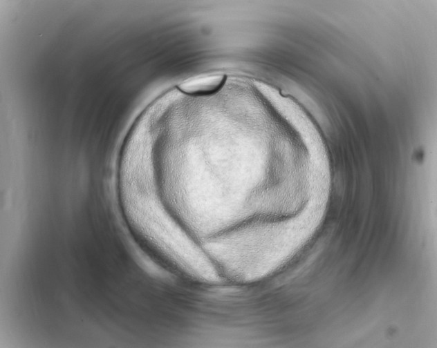 X0000103171482200809192105