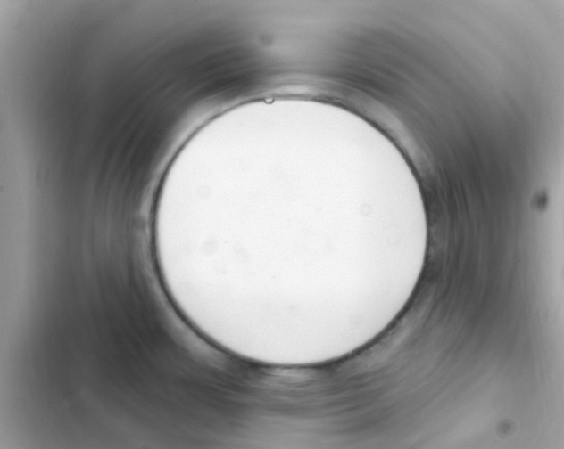 X0000103171483200809192105