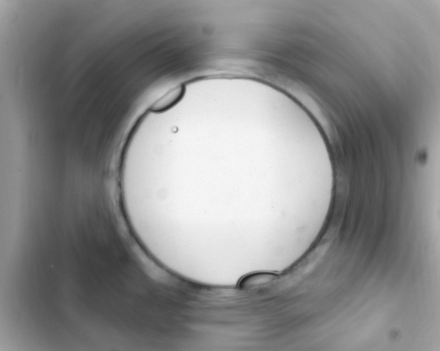 X0000103171485200809192105