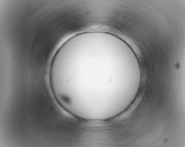 X0000103171486200809192105