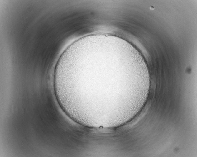 X0000103171487200809192105