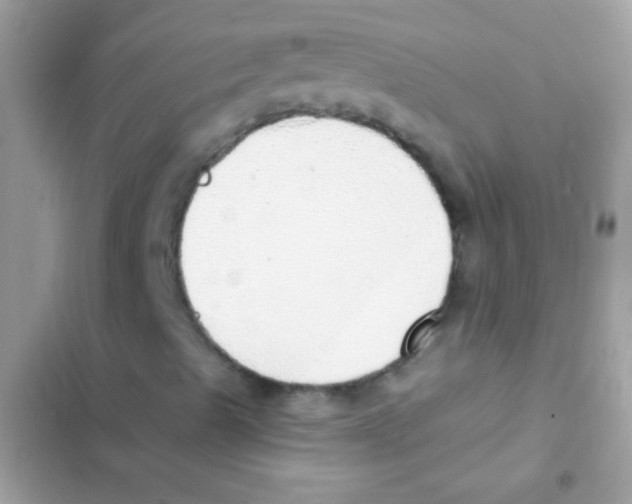 X0000103171489200809192104