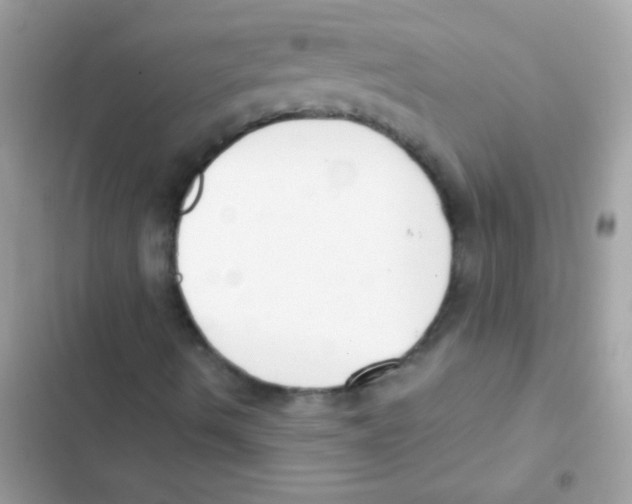 X0000103171490200809192104