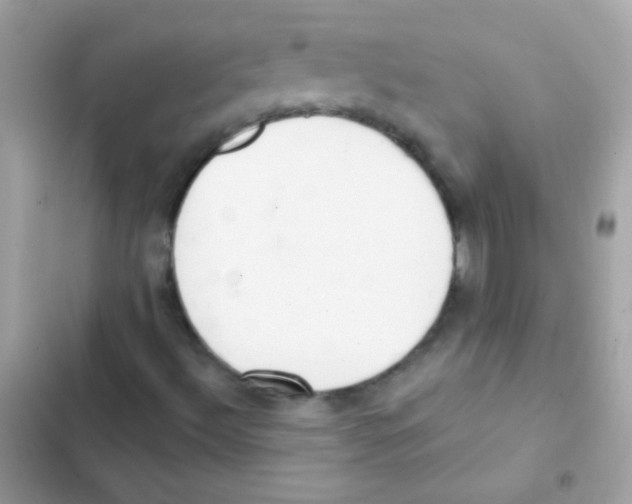 X0000103171492200809192104