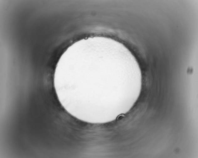 X0000103171493200809192104