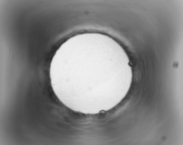 X0000103171494200809192104