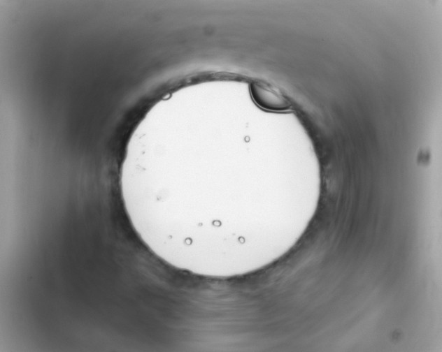 X0000103171495200809192104