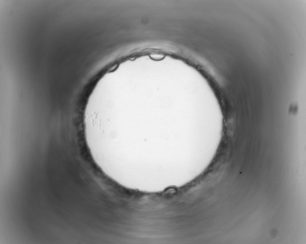 X0000103171496200809192105