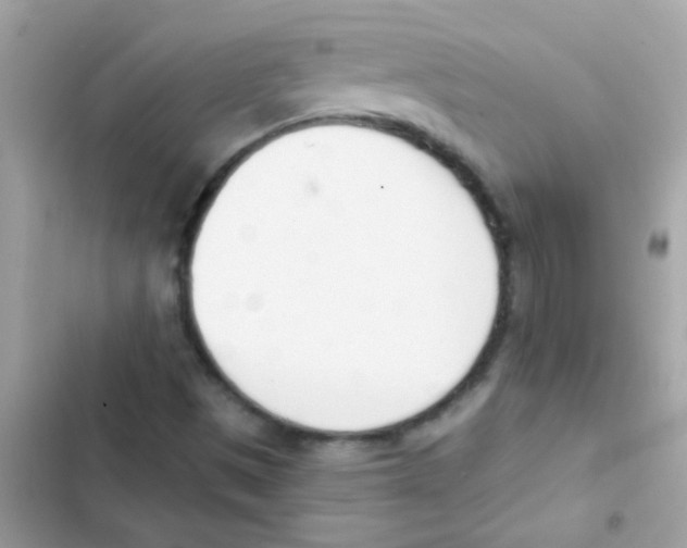 X0000103171497200809192105