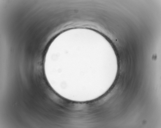 X0000103171498200809192105