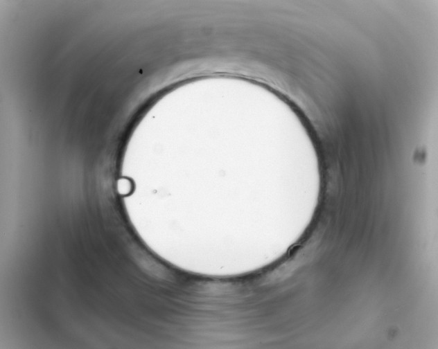 X0000103171499200809192105