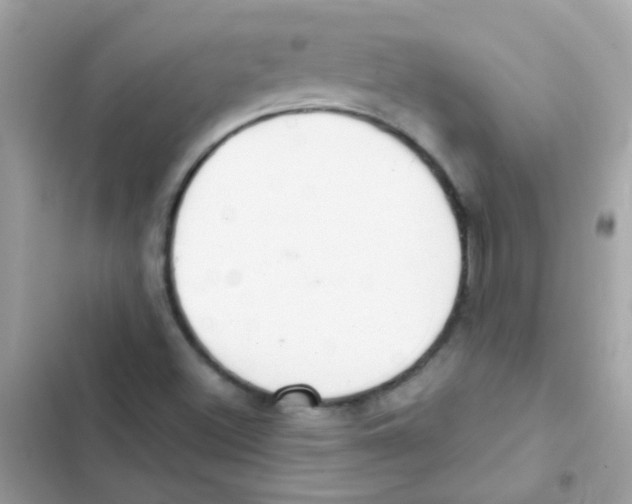 X0000103171500200809192105