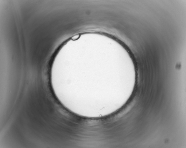 X0000103171501200809192105