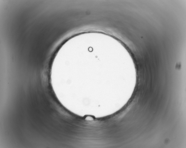 X0000103171502200809192105