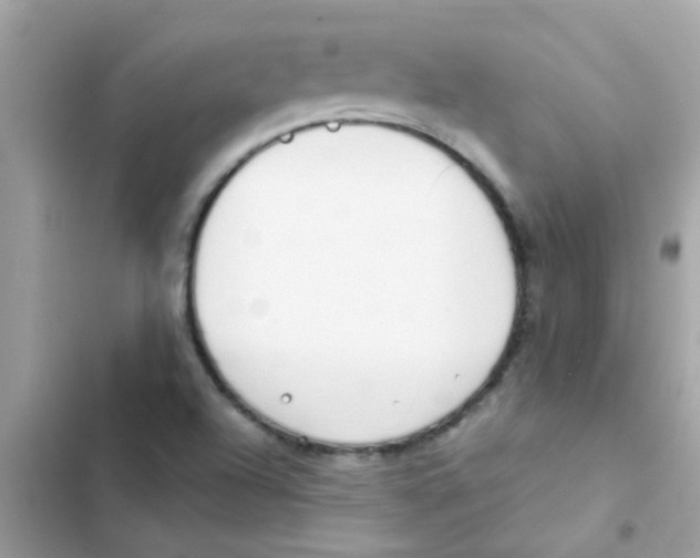 X0000103171504200809192105