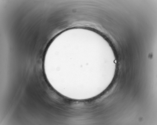 X0000103171505200809192105