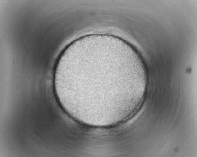 X0000103171506200809192105