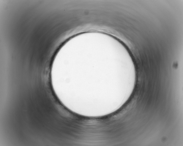 X0000103171507200809192105