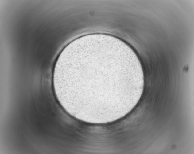 X0000103171508200809192105