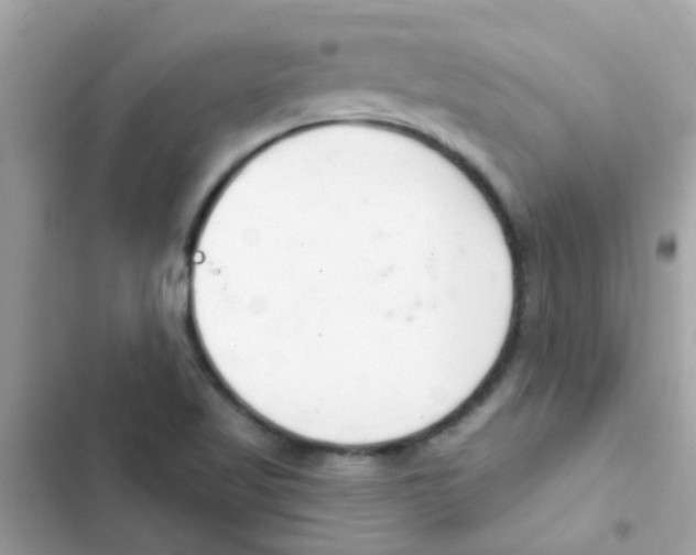 X0000103171509200809192105