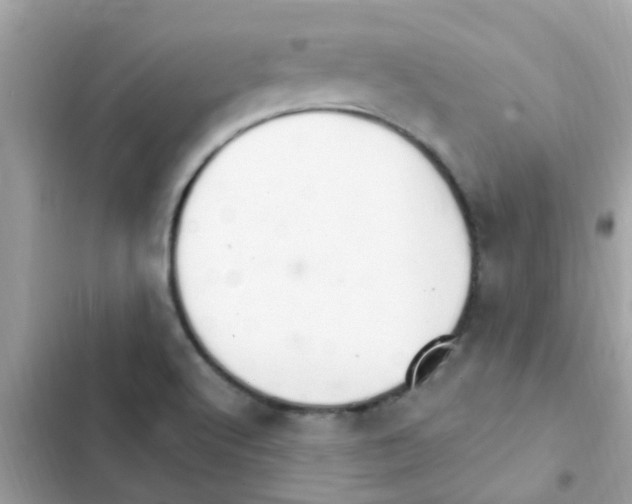 X0000103171512200809192105