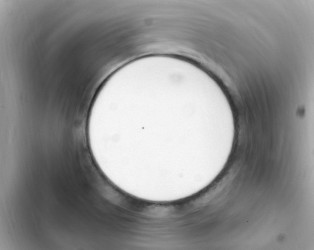 X0000103171513200809192105