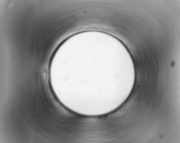 X0000103171515200809192105