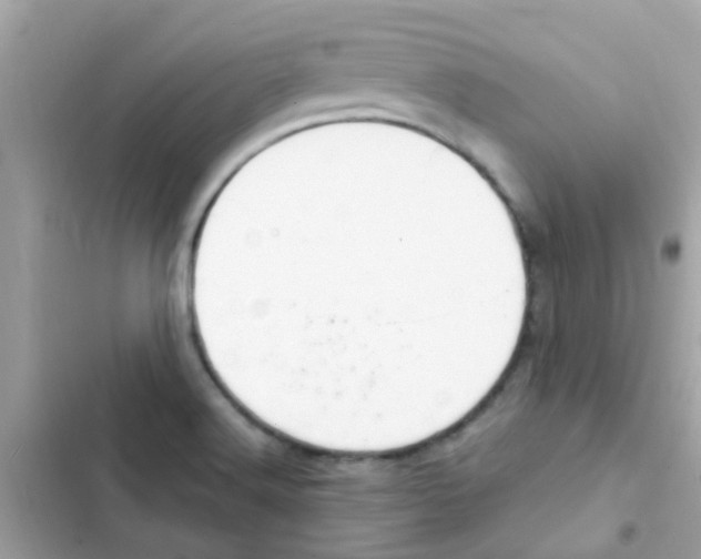 X0000103171516200809192105