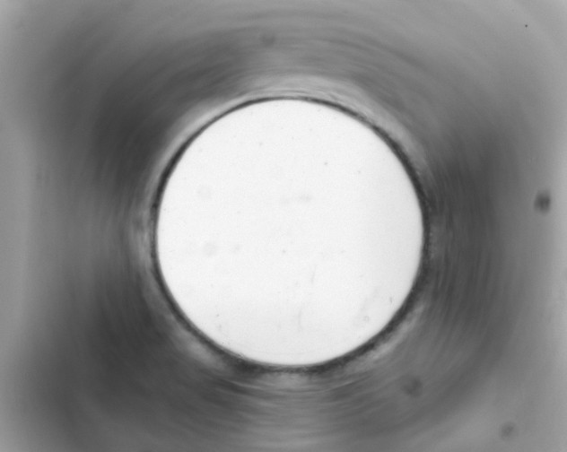 X0000103171517200809192105