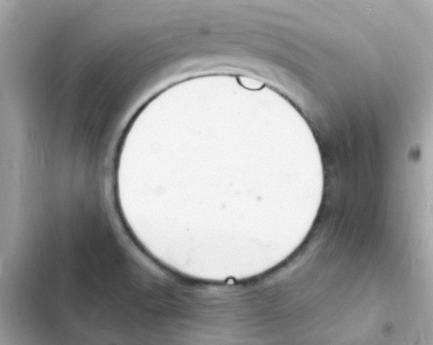 X0000103171518200809192105